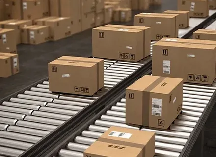 Fast Delivery